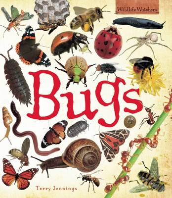 Cover of Bugs