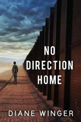 Cover of No Direction Home