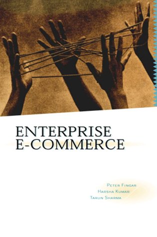 Book cover for Enterprise e-commerce