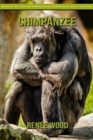 Cover of Chimpanzee