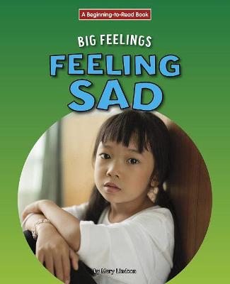 Book cover for Feeling Sad