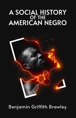 Book cover for A Social History of the American Negro