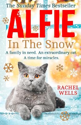 Cover of Alfie in the Snow