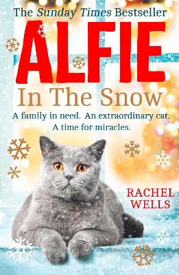 Book cover for Alfie in the Snow