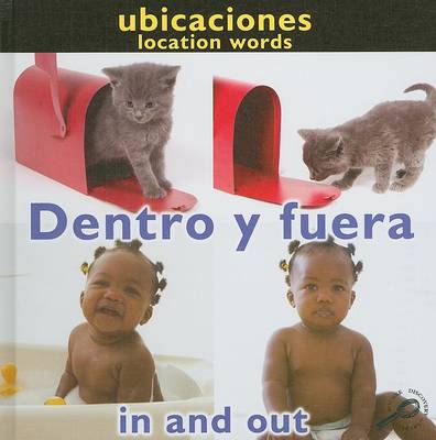 Book cover for Dentro y Fuera/In And Out