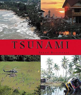 Book cover for Tsunami