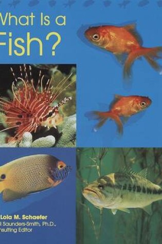 Cover of What Is a Fish?