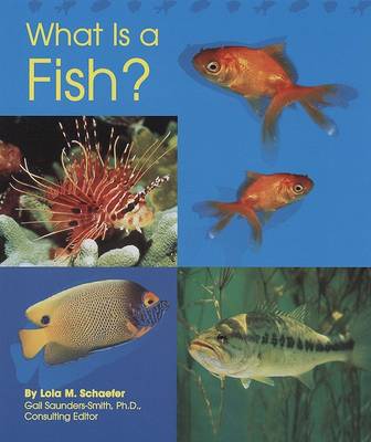 Book cover for What Is a Fish?