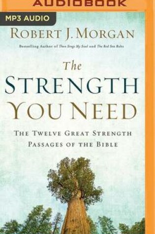 Cover of The Strength You Need