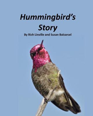 Book cover for Hummingbird's Story