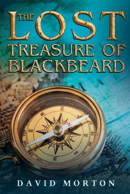 Book cover for The Lost Treasure of Blackbeard