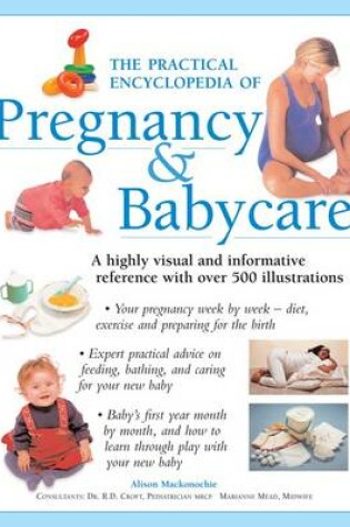 Cover of The Practical Encyclopedia of Pregnancy & Babycare