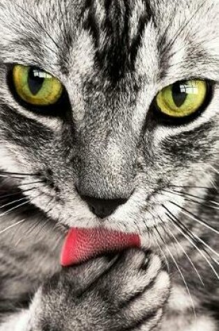 Cover of Bullet Journal for Cat Lovers Tabby Cat Face
