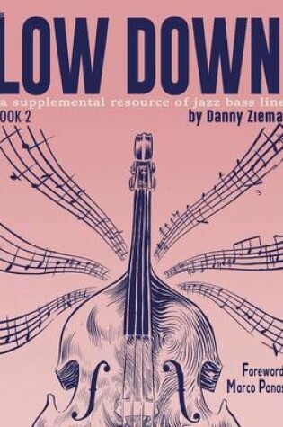 Cover of The Low Down Book 2