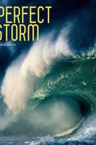 Cover of Perfect Storm