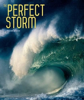 Book cover for Perfect Storm