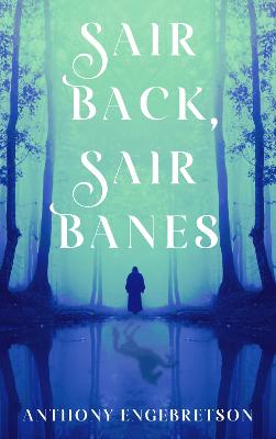Book cover for Sair Back, Sair Banes