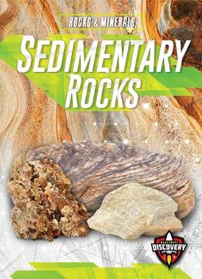 Book cover for Sedimentary Rocks