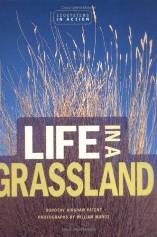 Cover of Life in a Grassland