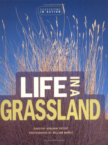 Cover of Life in a Grassland