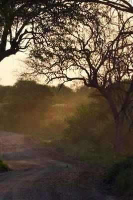 Book cover for African Bush at Sunrise