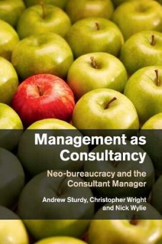 Cover of Management as Consultancy