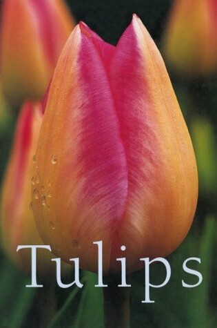 Cover of The Tulips