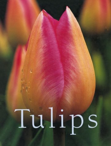 Book cover for The Tulips