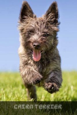 Book cover for Cairn Terrier