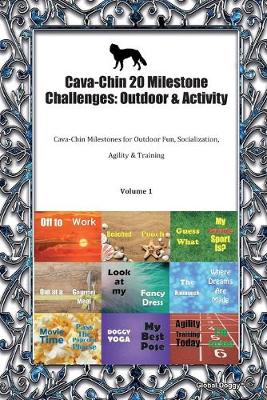 Book cover for Cava-Chin 20 Milestone Challenges