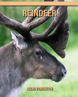 Book cover for Reindeer