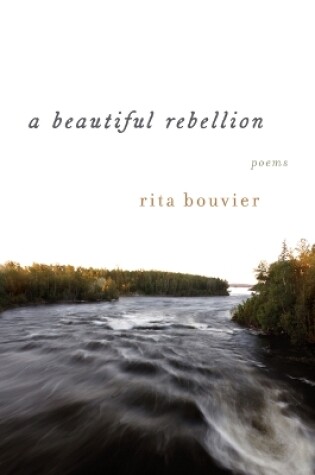 Cover of A Beautiful Rebellion