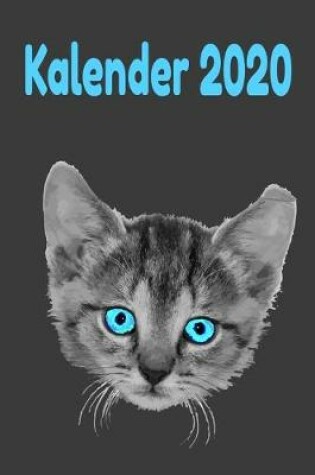 Cover of Katzenbaby Kalender 2020
