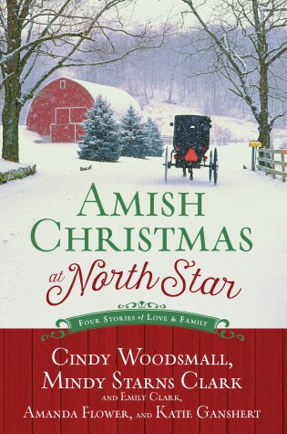 Book cover for Amish Christmas at North Star