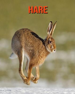 Book cover for Hare