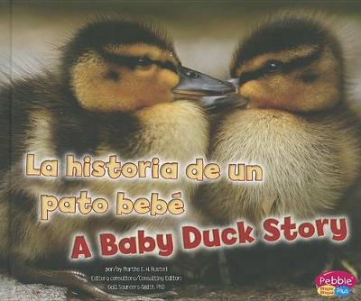 Book cover for La Historia de Un Pato Beb�/A Baby Duck Story