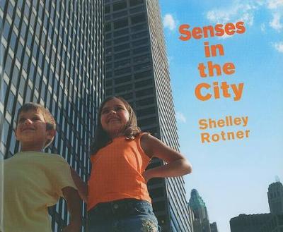 Book cover for Senses in the City