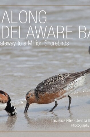 Cover of Life Along the Delaware Bay