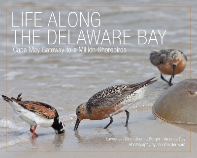 Book cover for Life Along the Delaware Bay