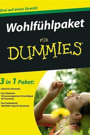 Cover of Mein Wohlfuhlpaket fur Dummies