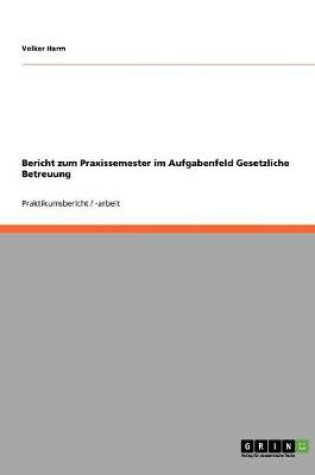 Cover of Bericht zum Praxissemester im Aufgabenfeld Gesetzliche Betreuung