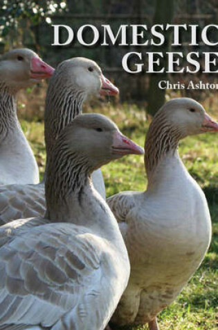 Cover of Domestic Geese