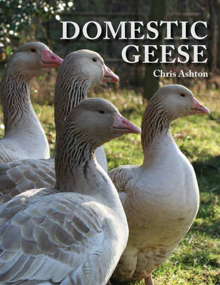 Book cover for Domestic Geese