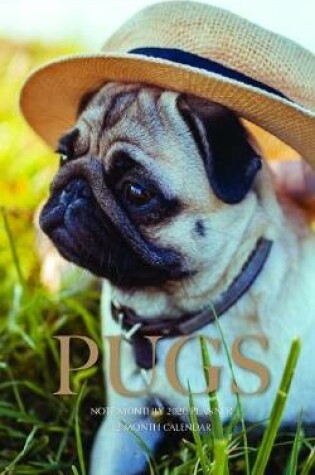 Cover of Pugs Note Monthly 2020 Planner 12 Month Calendar