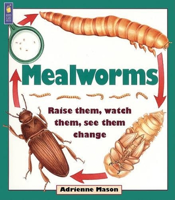 Book cover for Mealworms: Raise Them, Watch Them, See Them Change