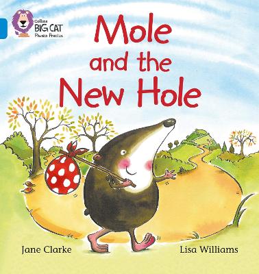 Book cover for Mole and the New Hole
