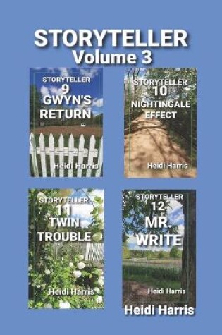 Cover of STORYTELLER Volume 3