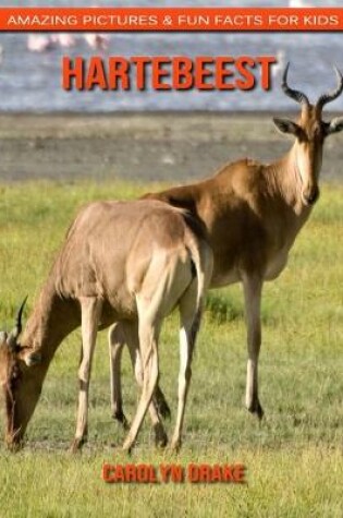 Cover of Hartebeest