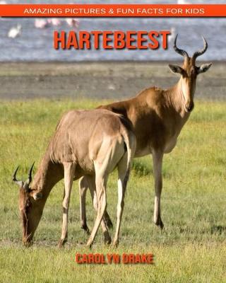 Cover of Hartebeest