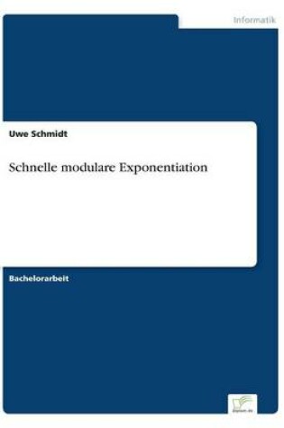 Cover of Schnelle modulare Exponentiation